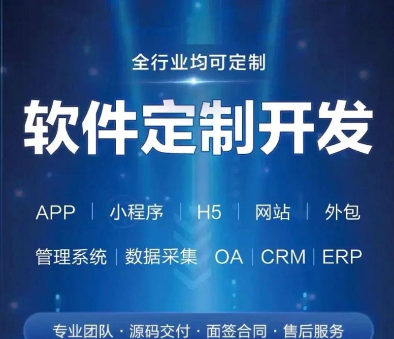 定制软件：企业发展的得力助手